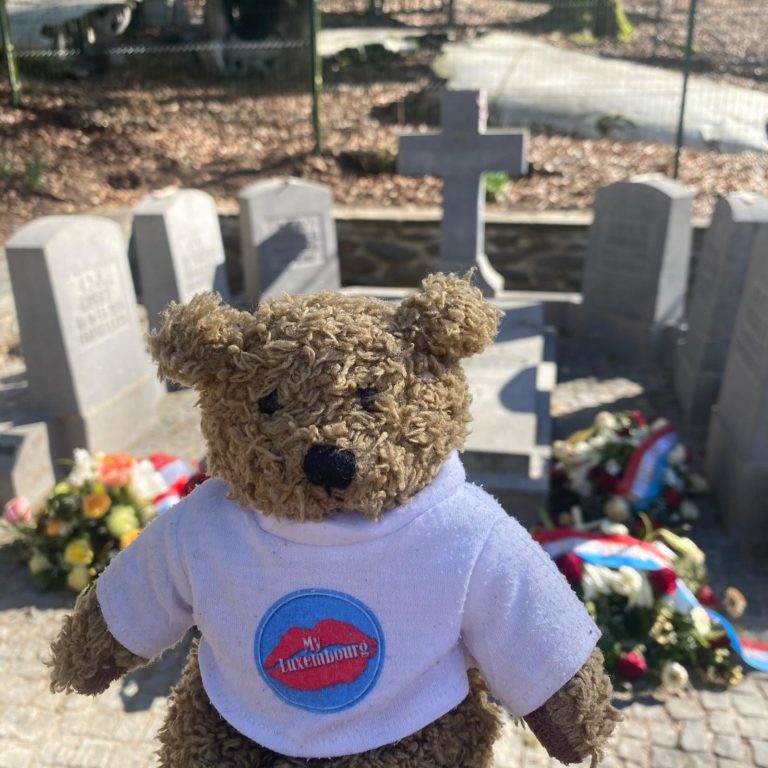 Tombes des pilotes de la RAF dans le bois de Boxhorn