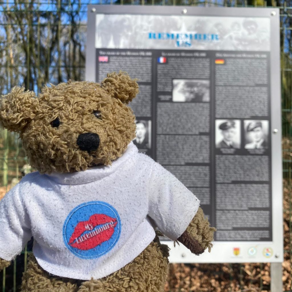 Panneau didactique sur les Tombes des pilotes de la RAF à Boxhorn